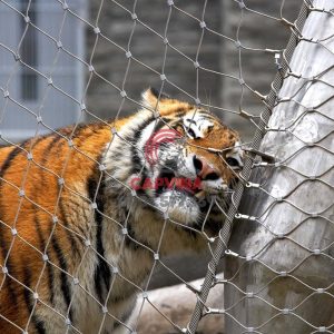 Zoo Wire Mesh