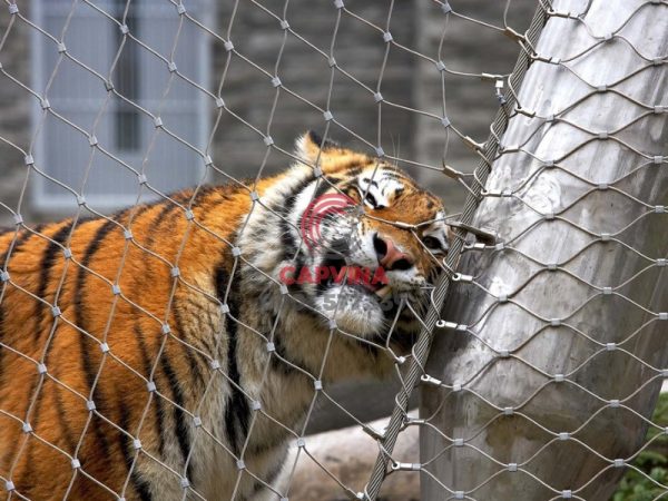 Zoo Wire Mesh