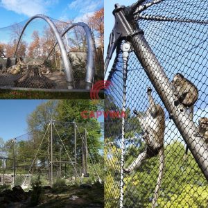 Zoo Wire Mesh