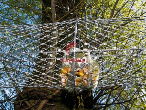 Zoo Wire Mesh
