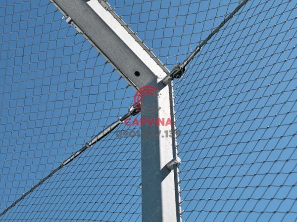 Parking Lot Safety Net