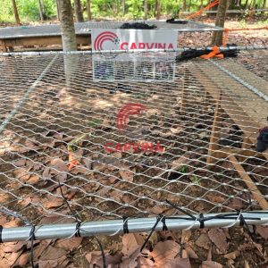 School safety net