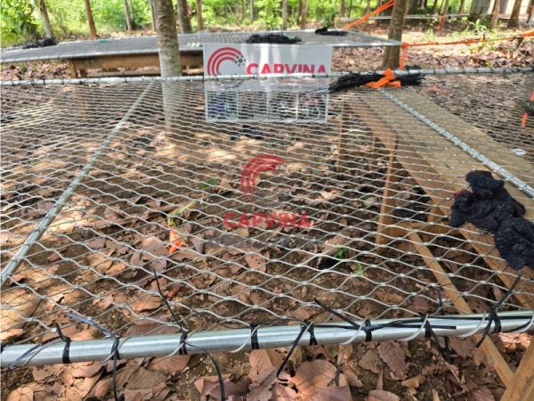 School safety net