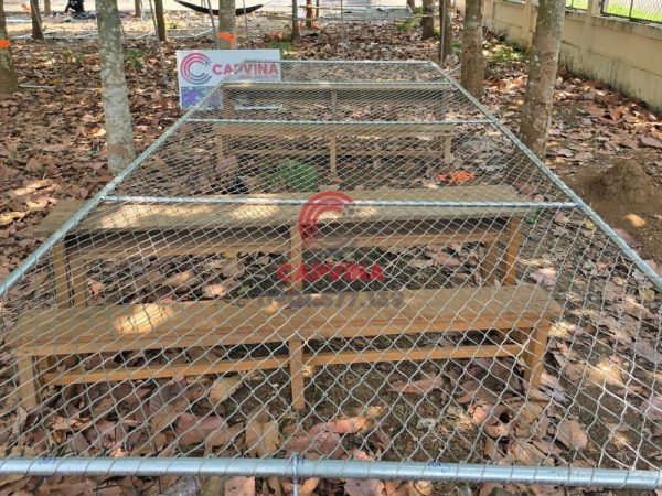 trellis safety netting