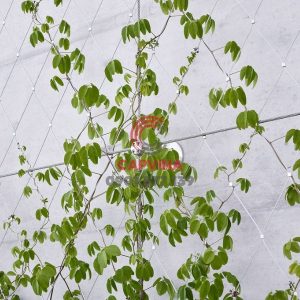 trellis safety netting