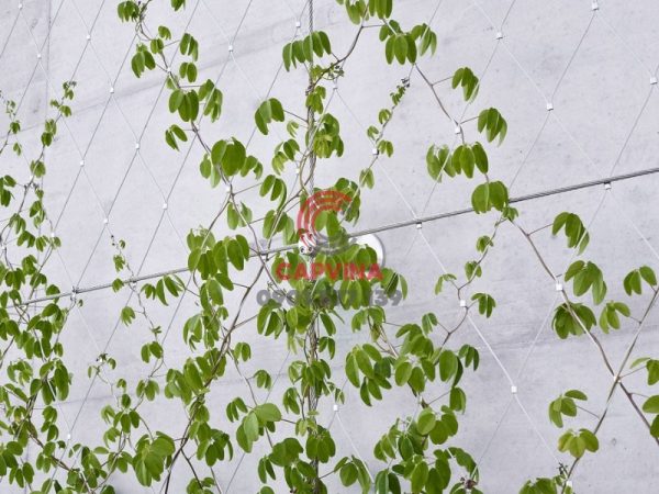 trellis safety netting